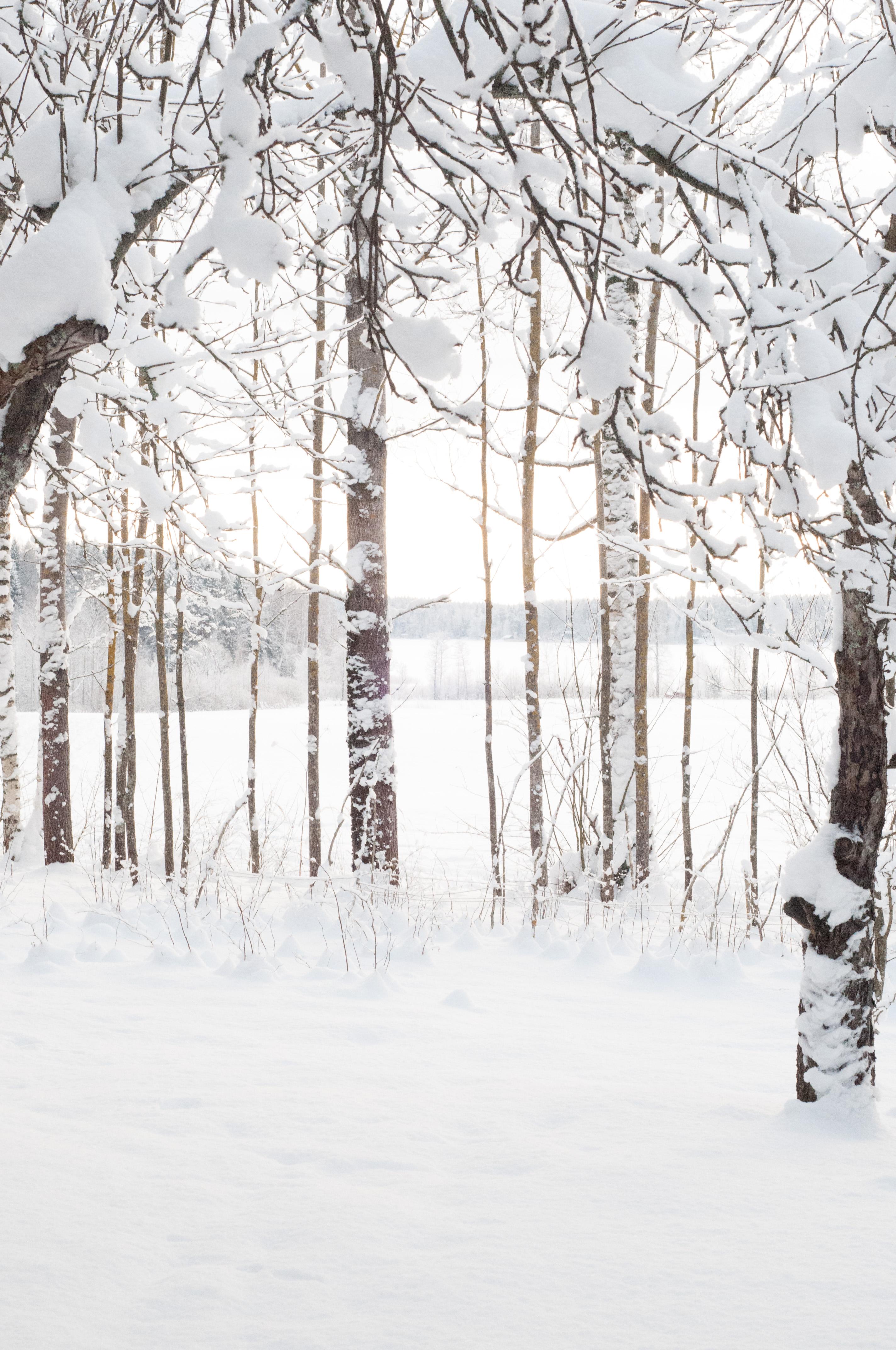 Research papers on seasonal affective disorder